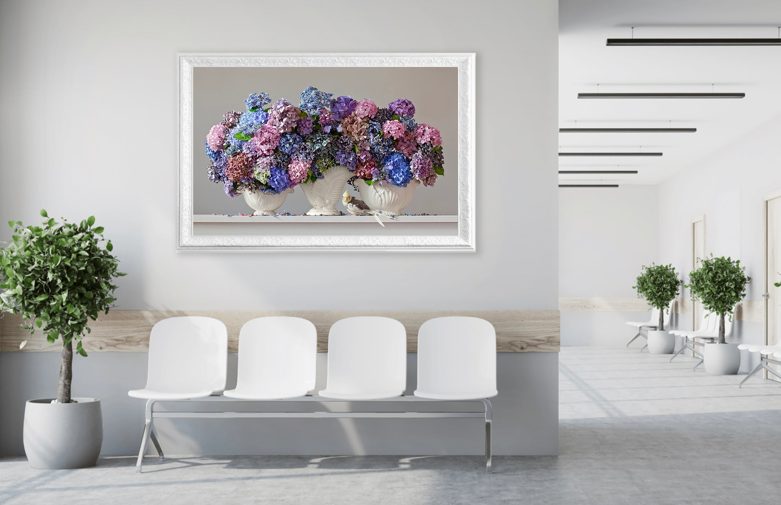 Hydrangeas 8.35am (With Bird)