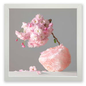 Pink Quartz (Madagascar) Cherry Blossom (framed)