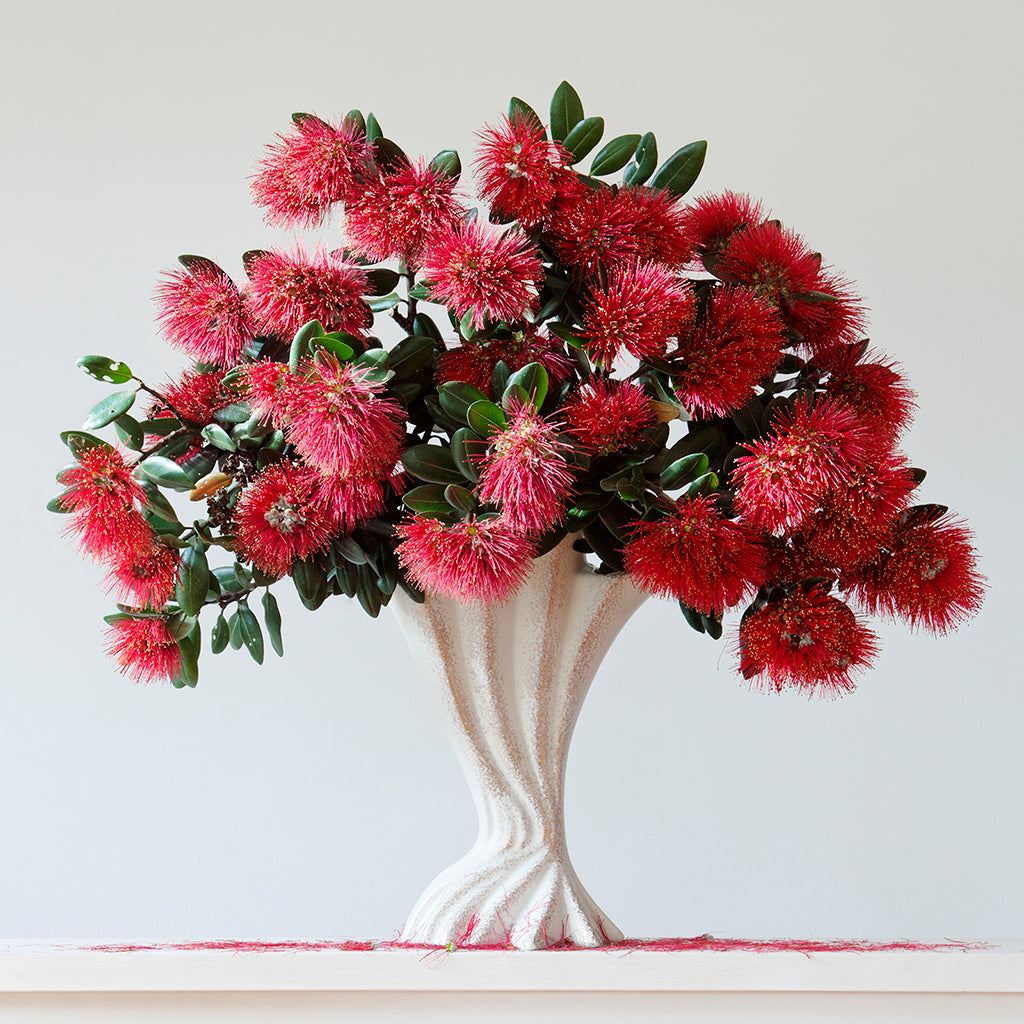 Pohutukawa 8.01 am  (Unframed)