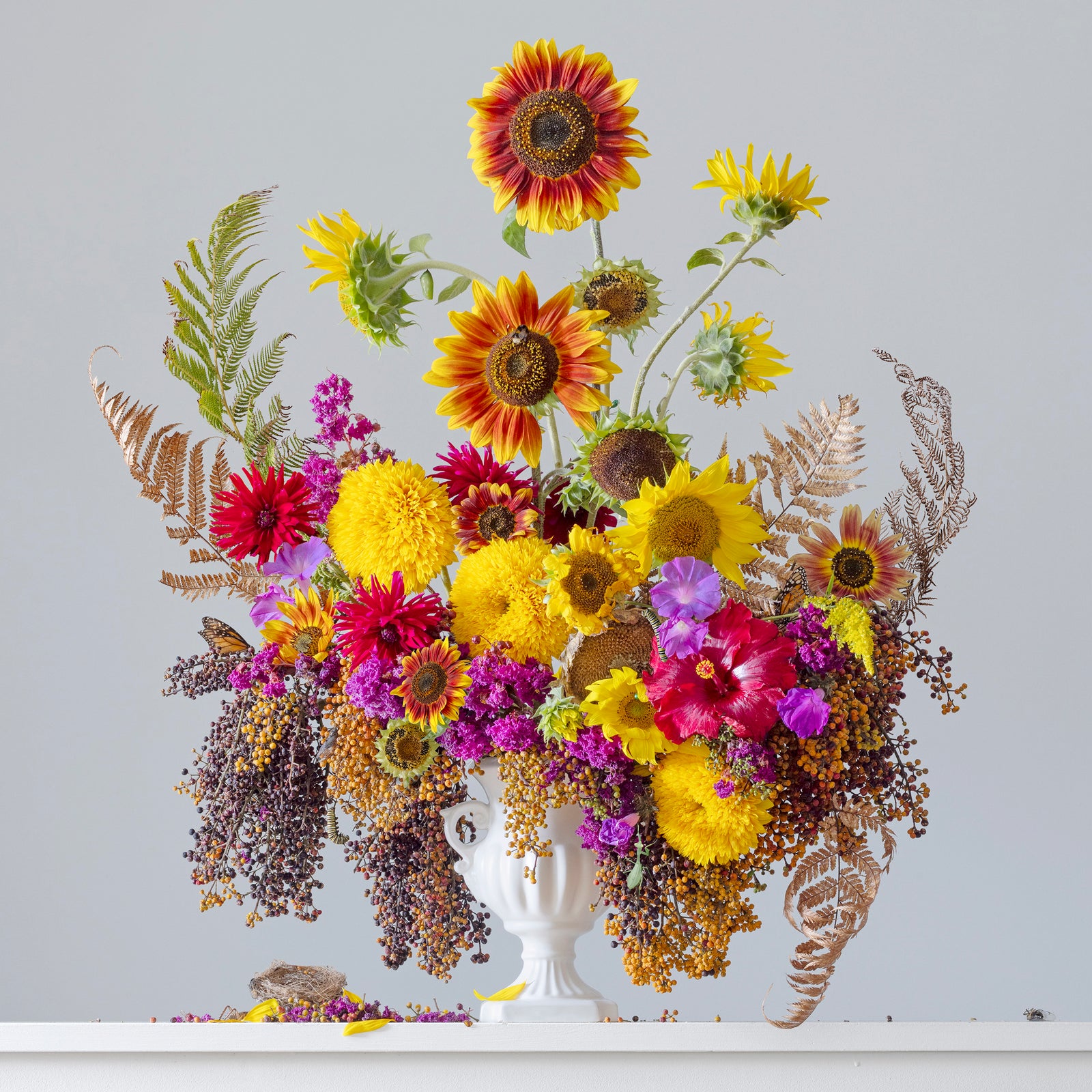 Lightbox - Still Lush