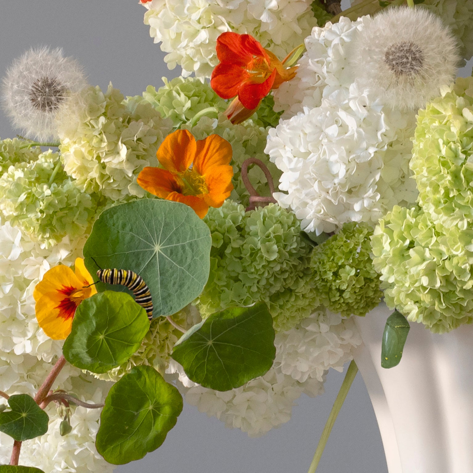 This Is The Day - a special edition