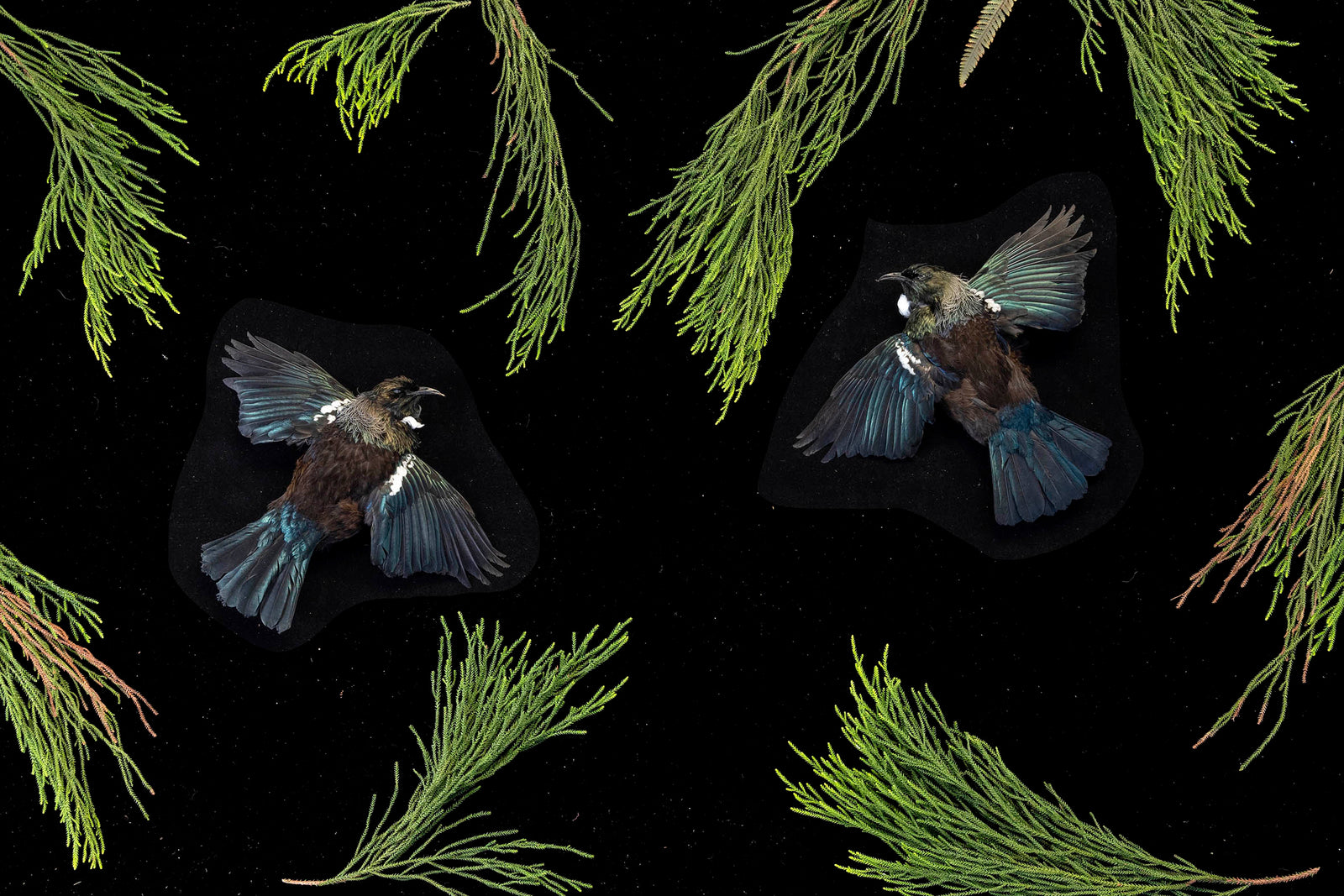 Full Fathom Five 2.  2022