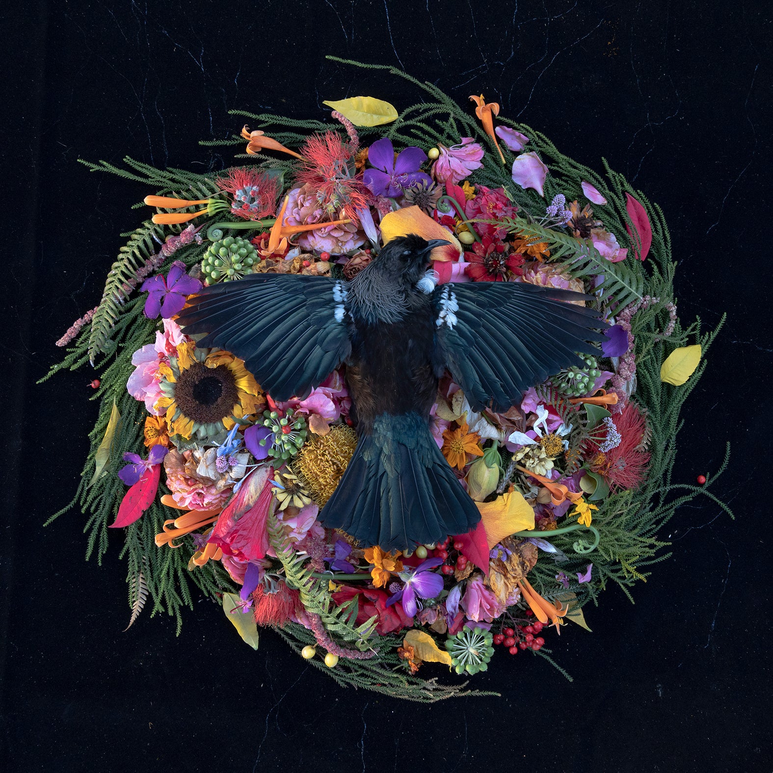 Home, haukāinga 4. 2022