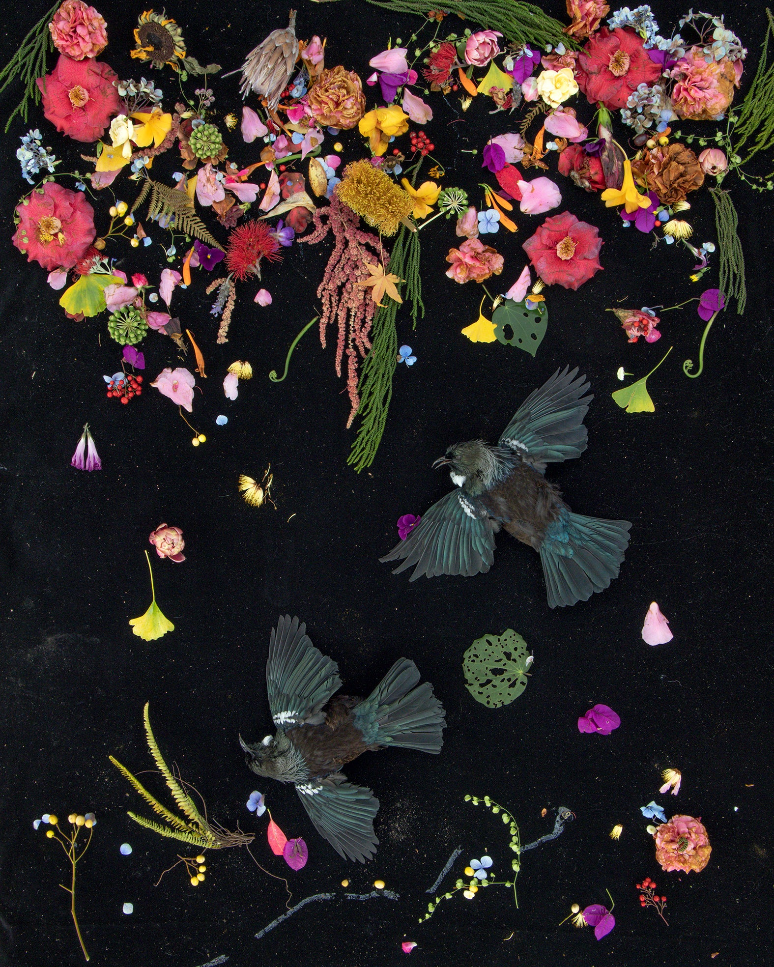 Full Fathom Five 5.  2022