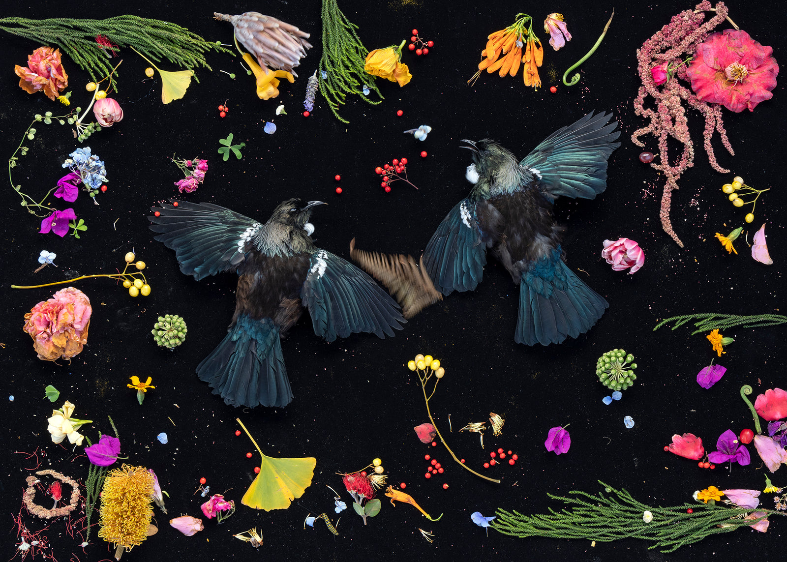 Full Fathom Five 6.  2022