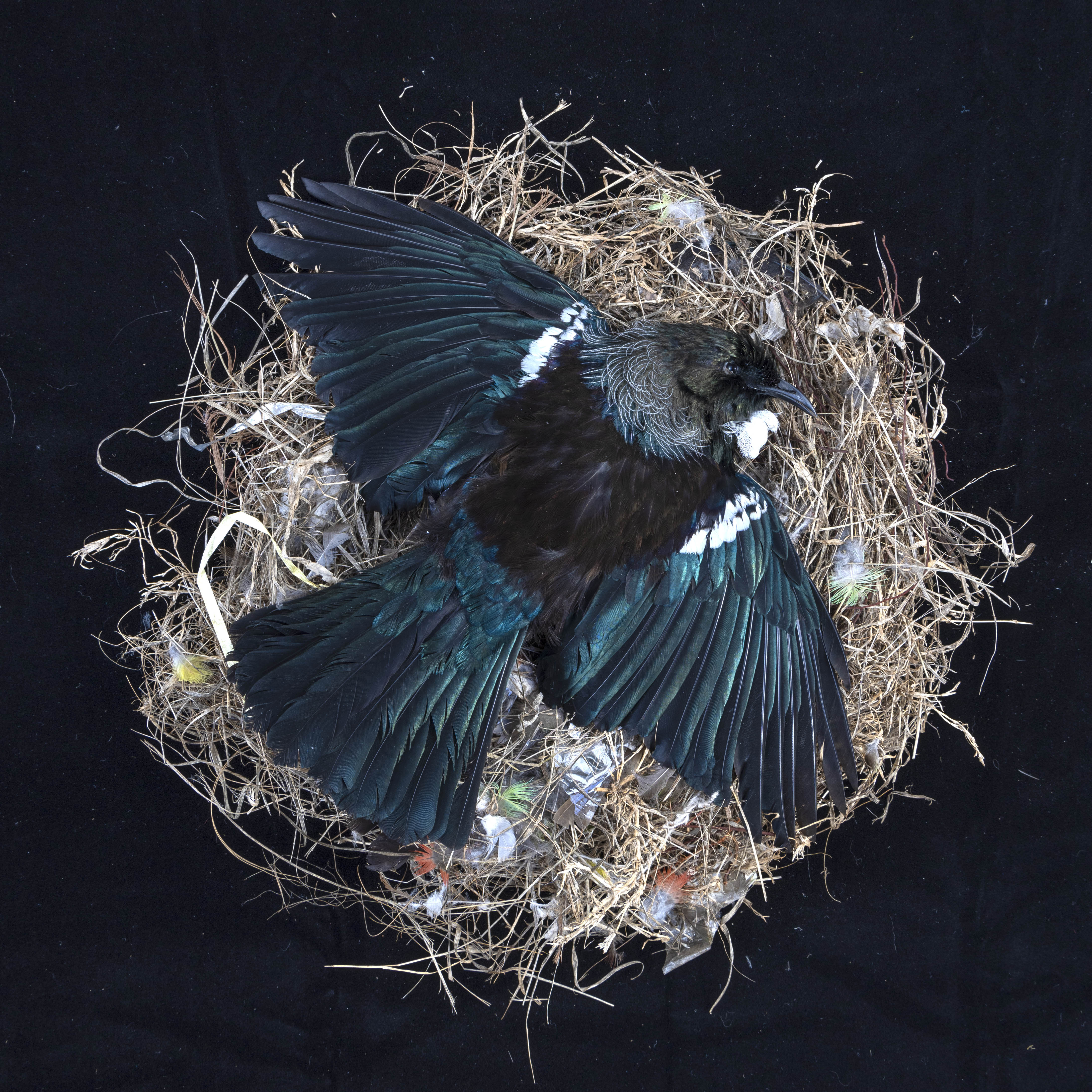 Home, haukāinga 1. 2022