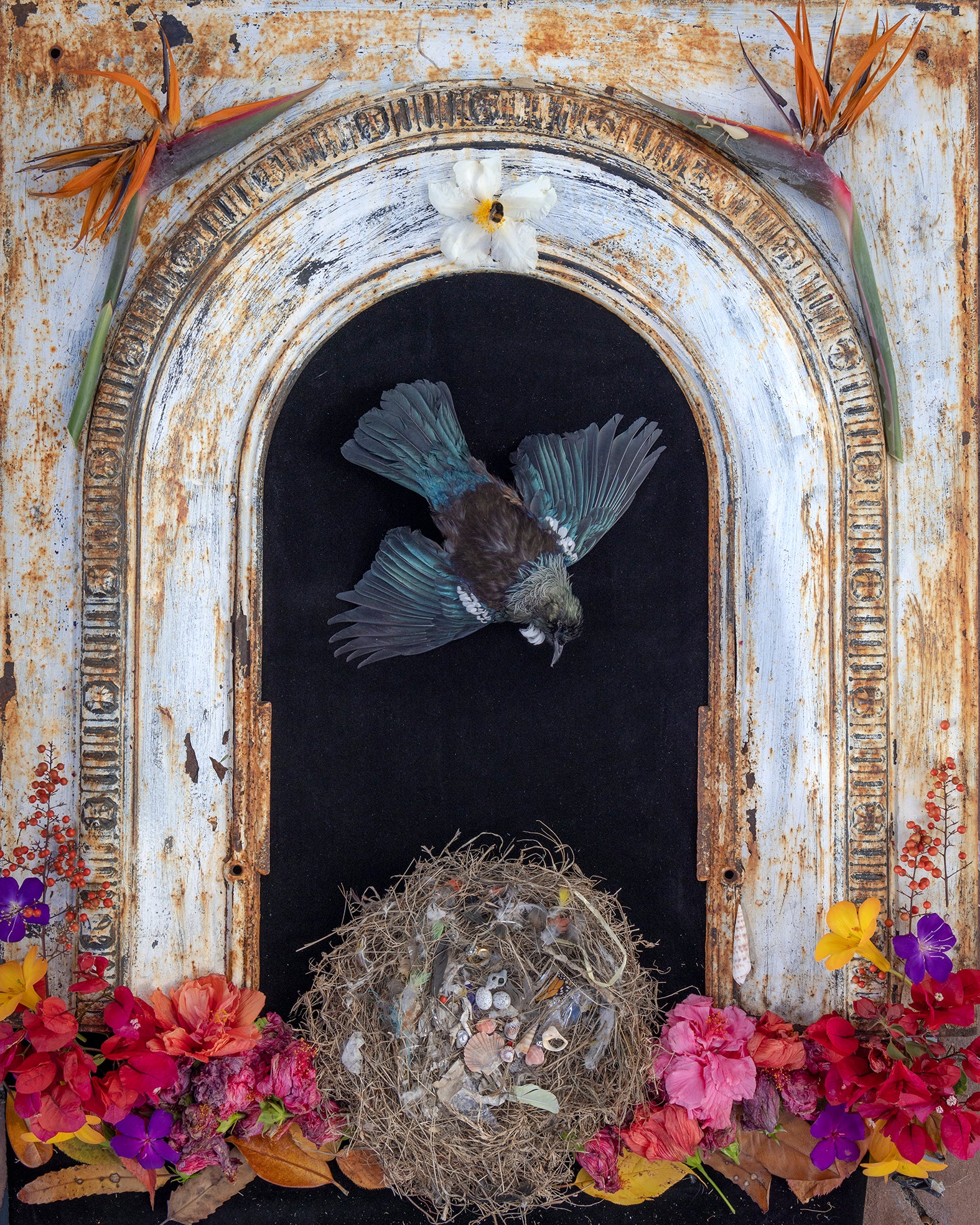 Crucible, oko whakawera 4. 2022