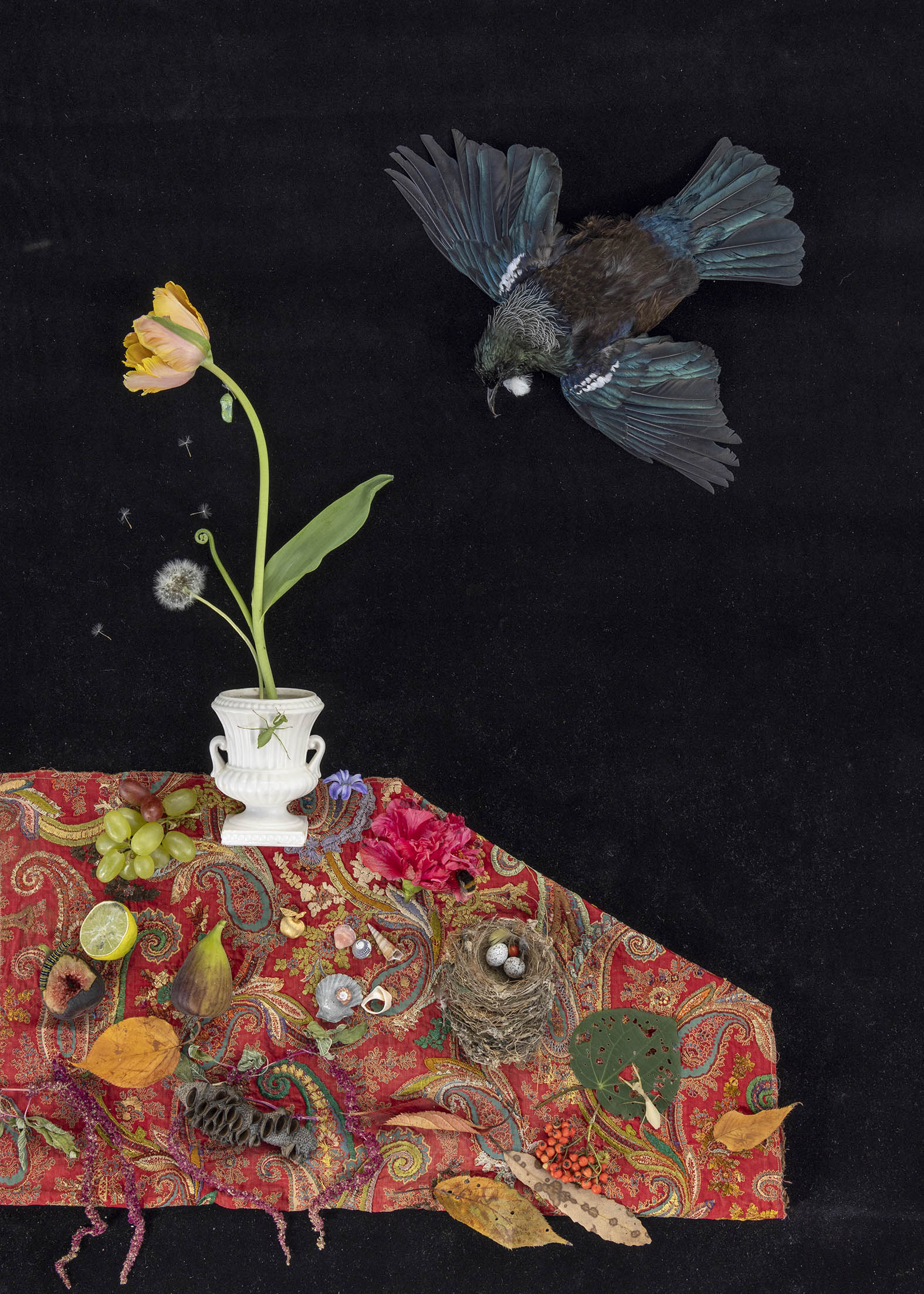 The Messenger, nga karere 3. 2022