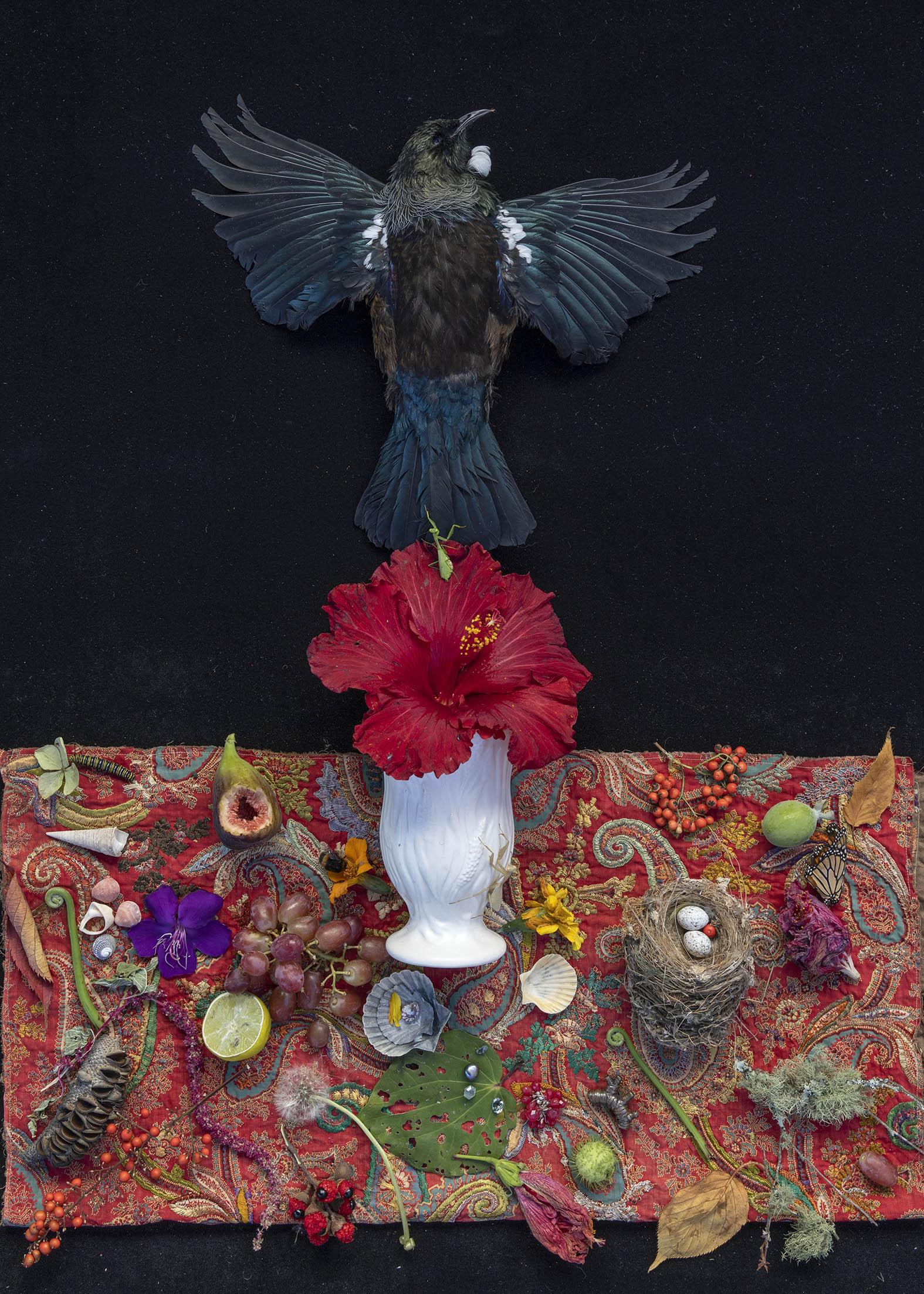 The Messenger, nga karere 2. 2022