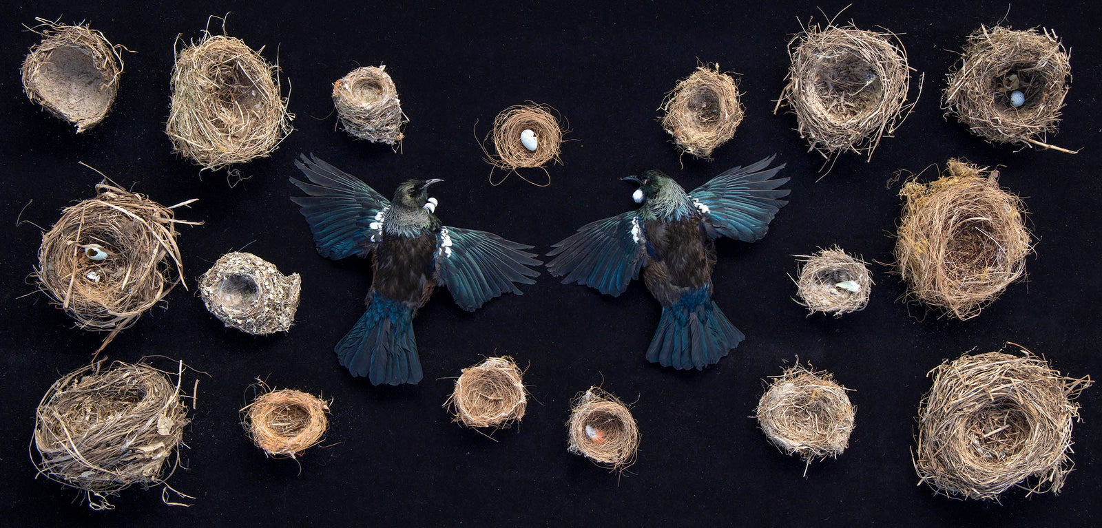 Community, hapori 1. 2022