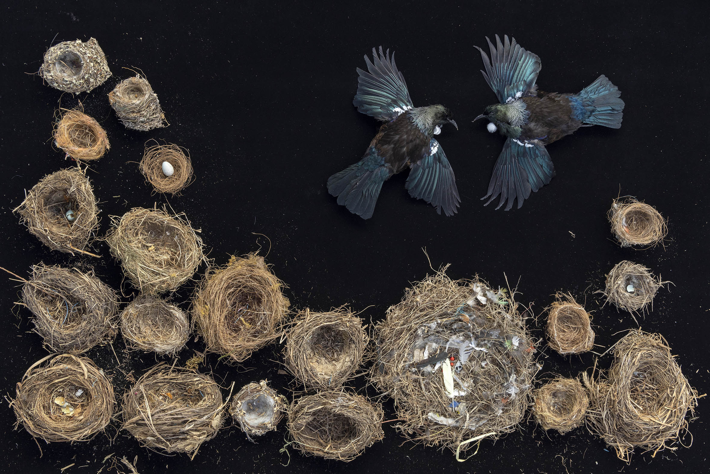 Community, hapori 2. 2022