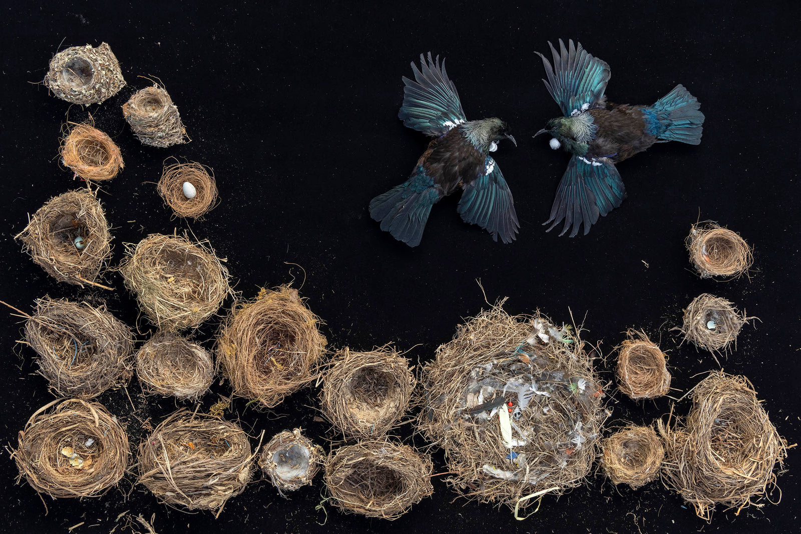 Community, hapori 2. 2022