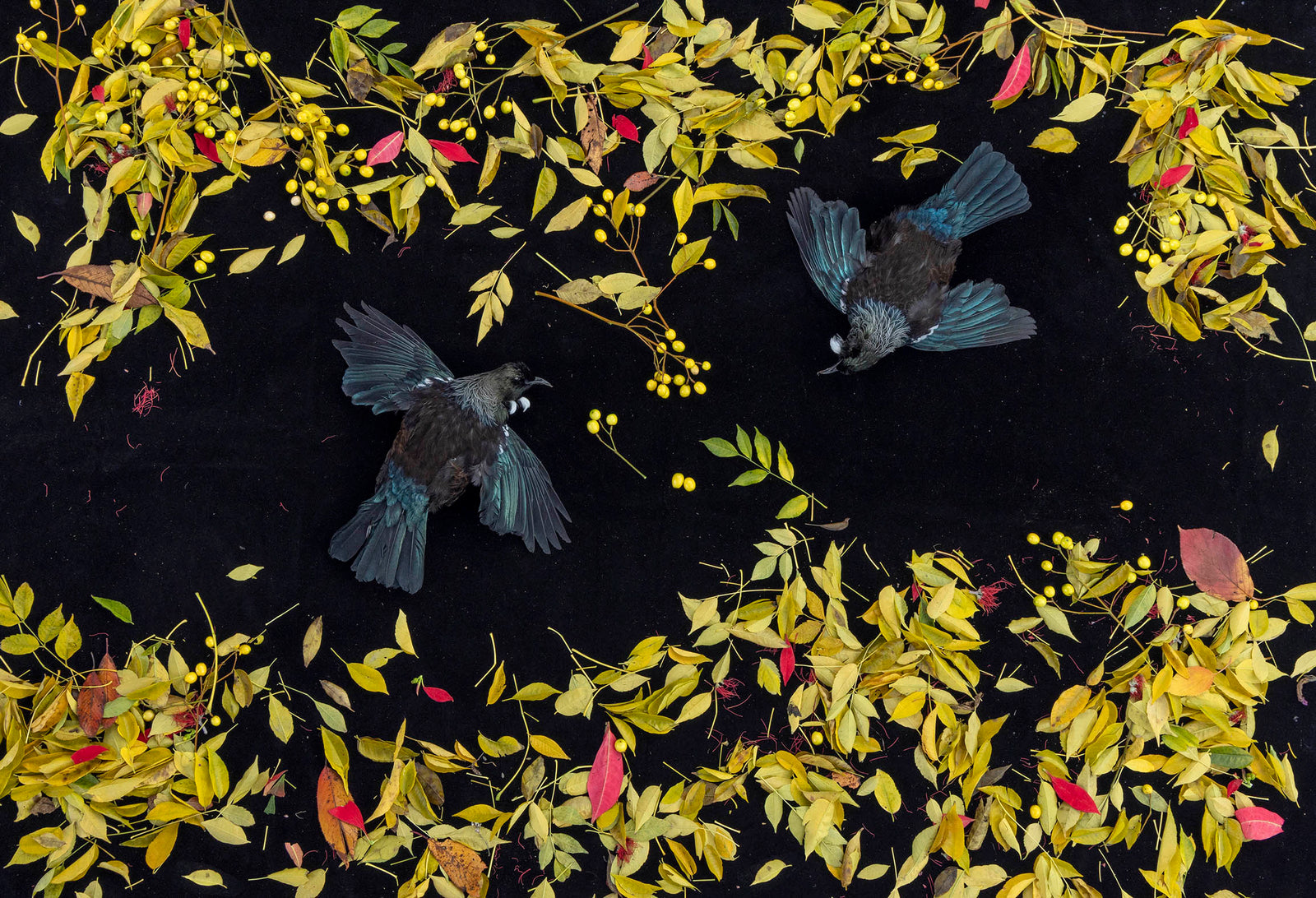 Full Fathom Five 1. 2022