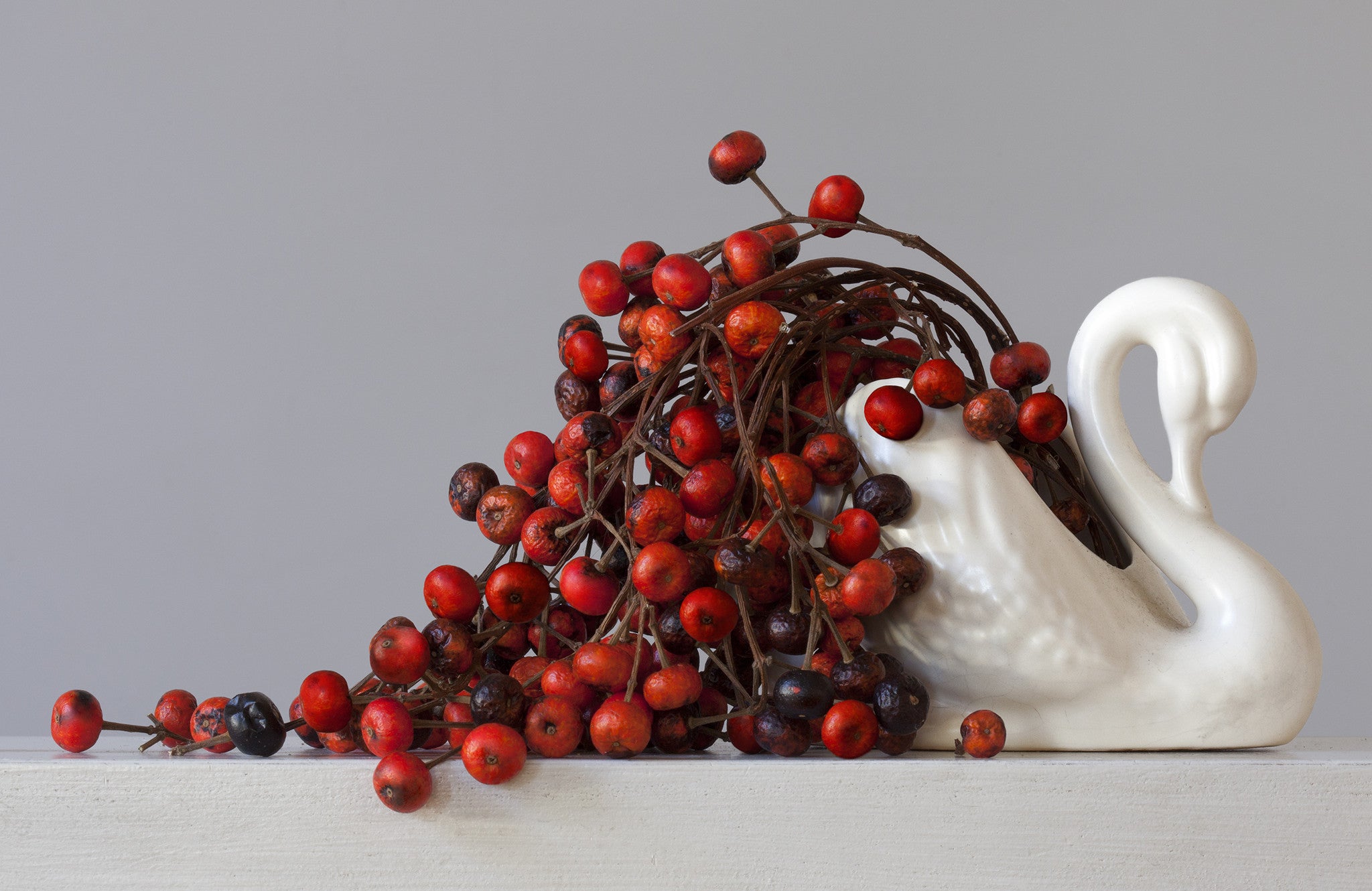 Berries & Swan 5.10pm