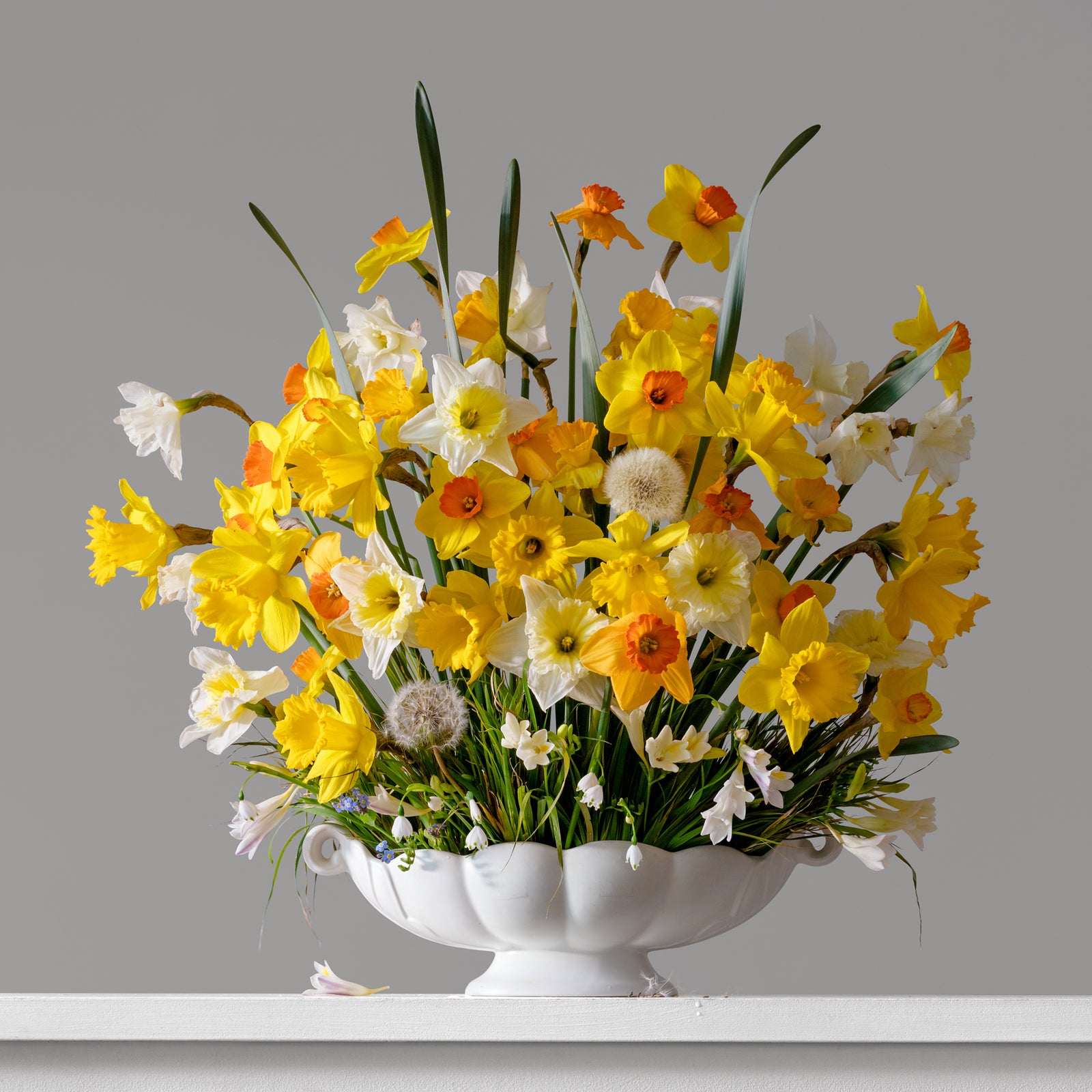 Daffodils, Freesias & Dandelions 2.39pm