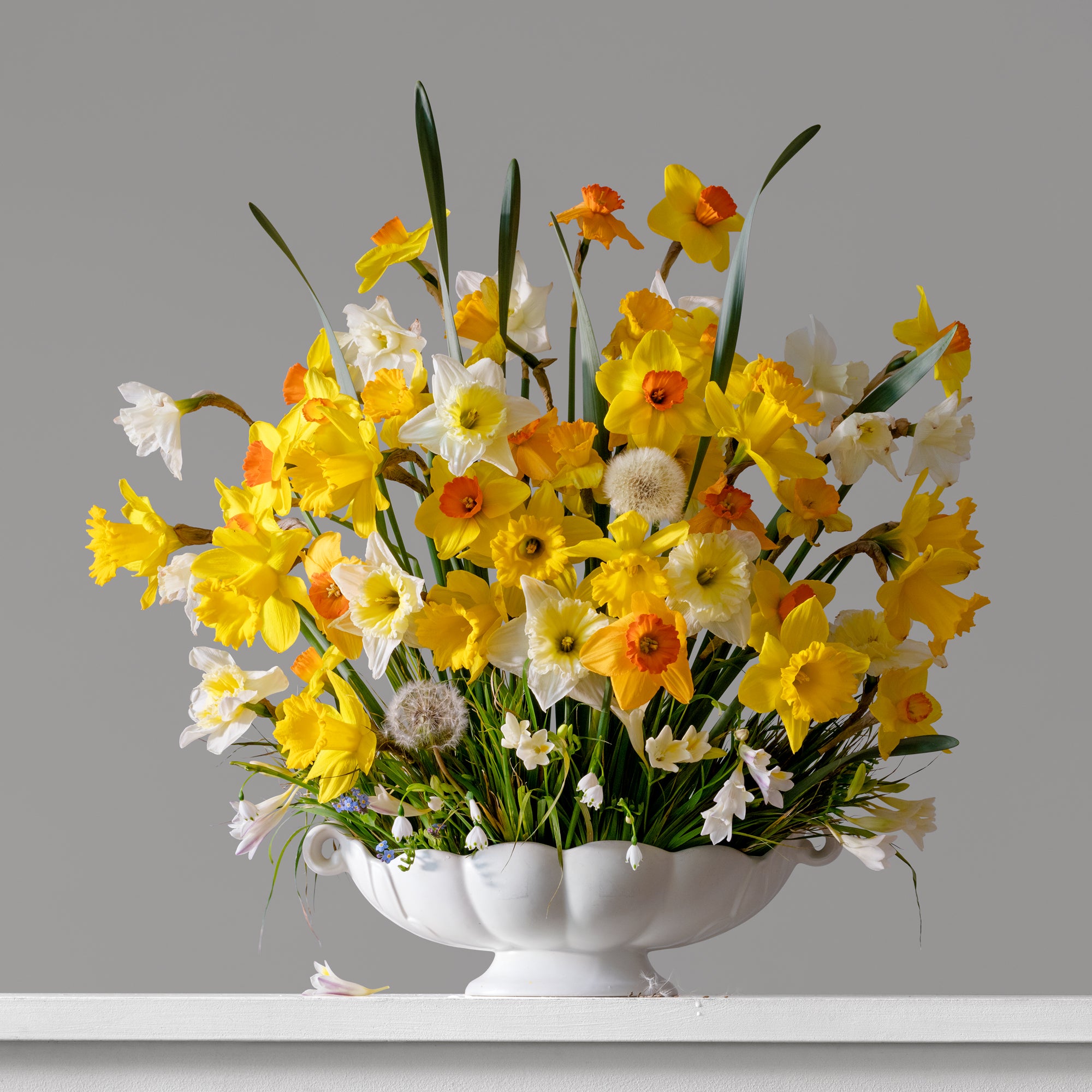 Daffodils, Freesias & Dandelions 2.39pm