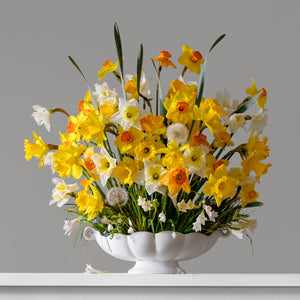 Daffodils, Freesias & Dandelions 2.39pm