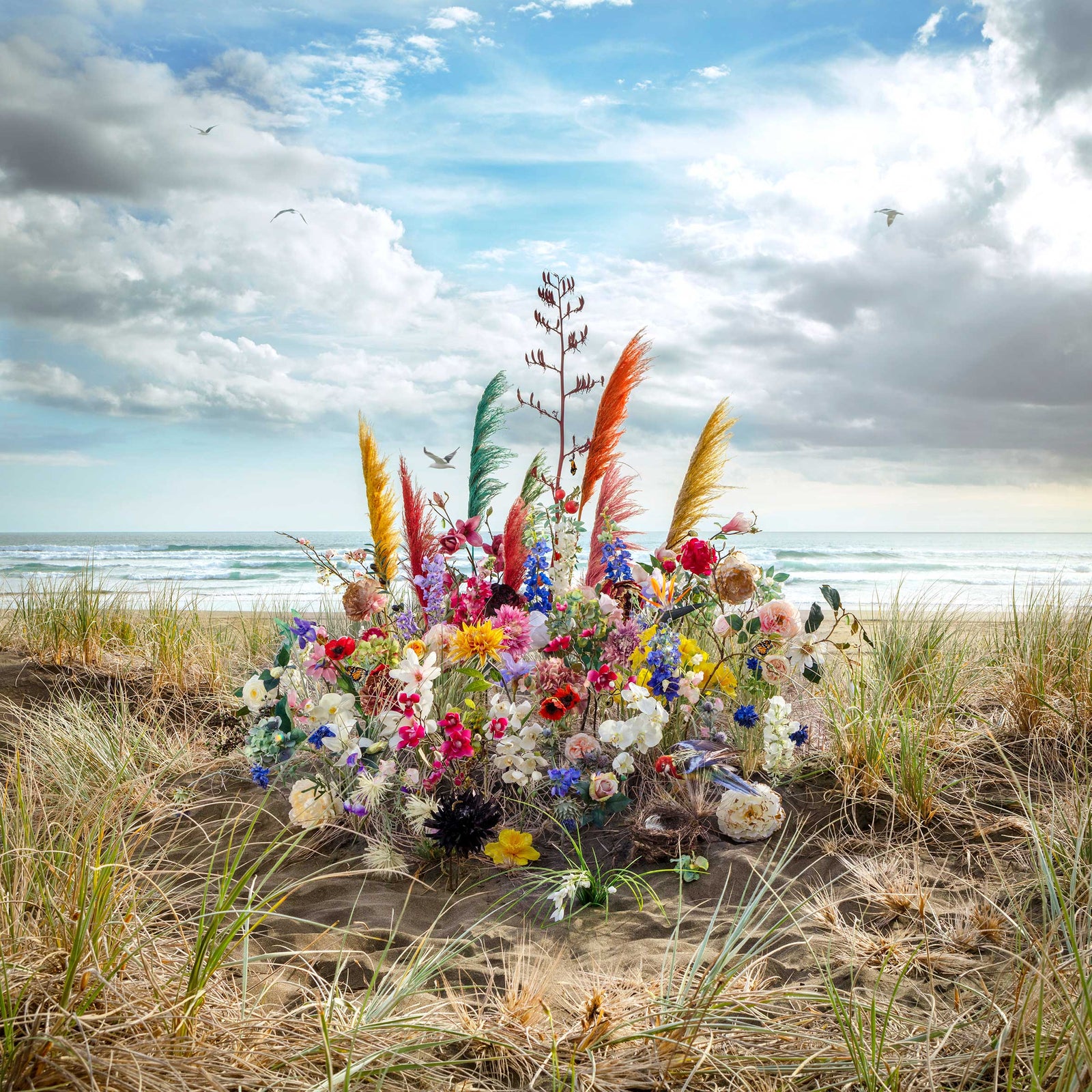 Garden of Piha Beach