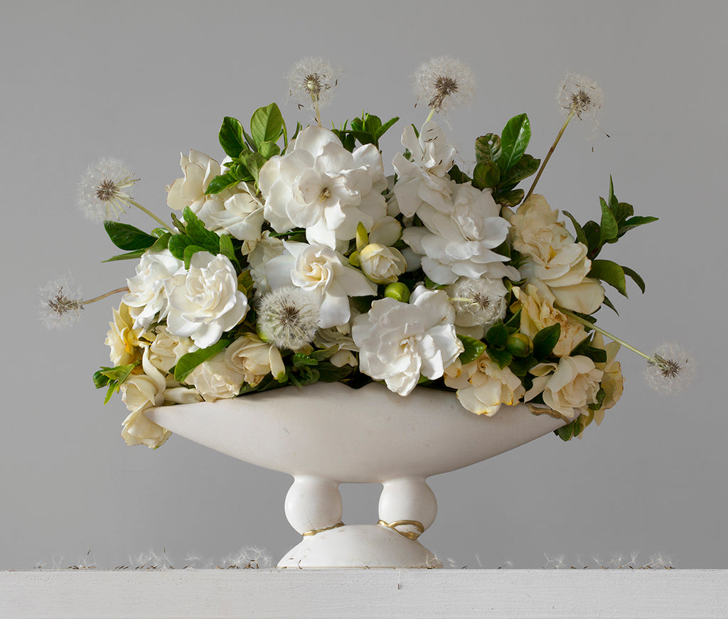 Gardenias & Dandelions 5.54 pm