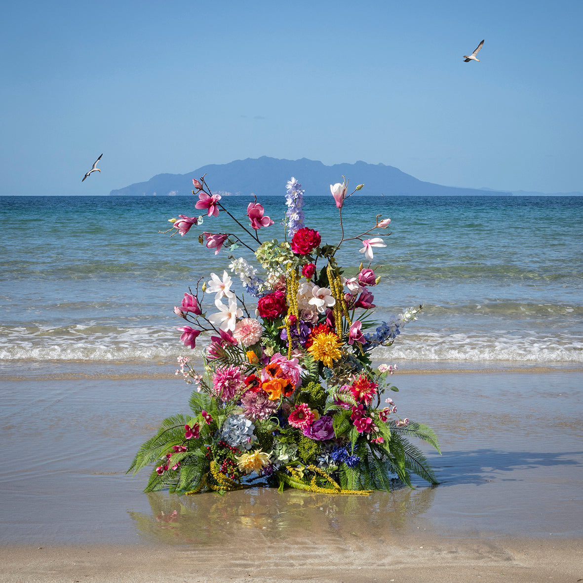 Garden of Tāwharanui Beach