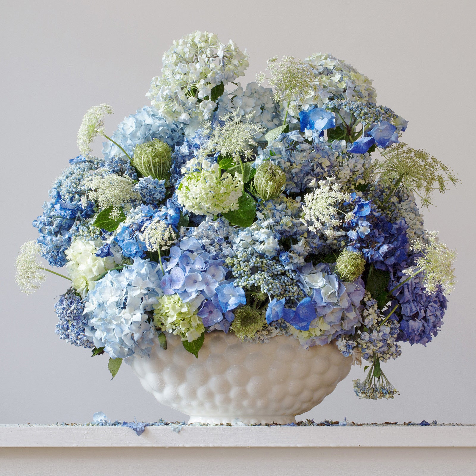 Hydrangeas & Queen Ann's Lace 8.15am