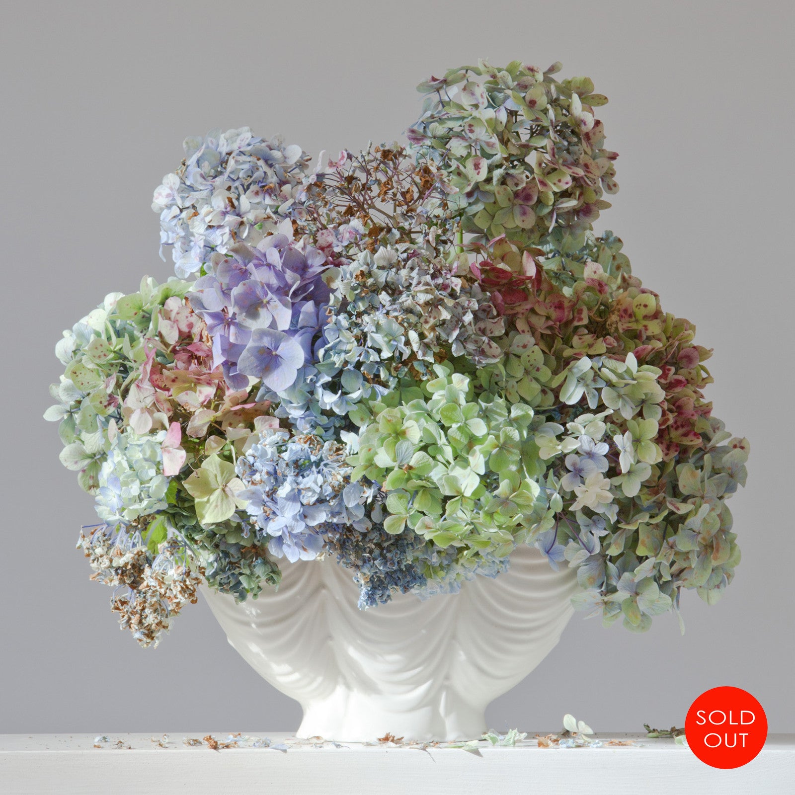 Hydrangeas 9.34 am (sold out)