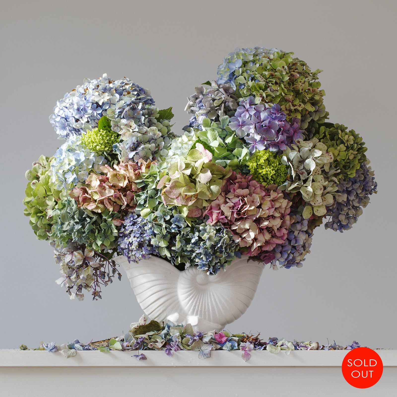 Hydrangeas 8.50 am  (sold out)