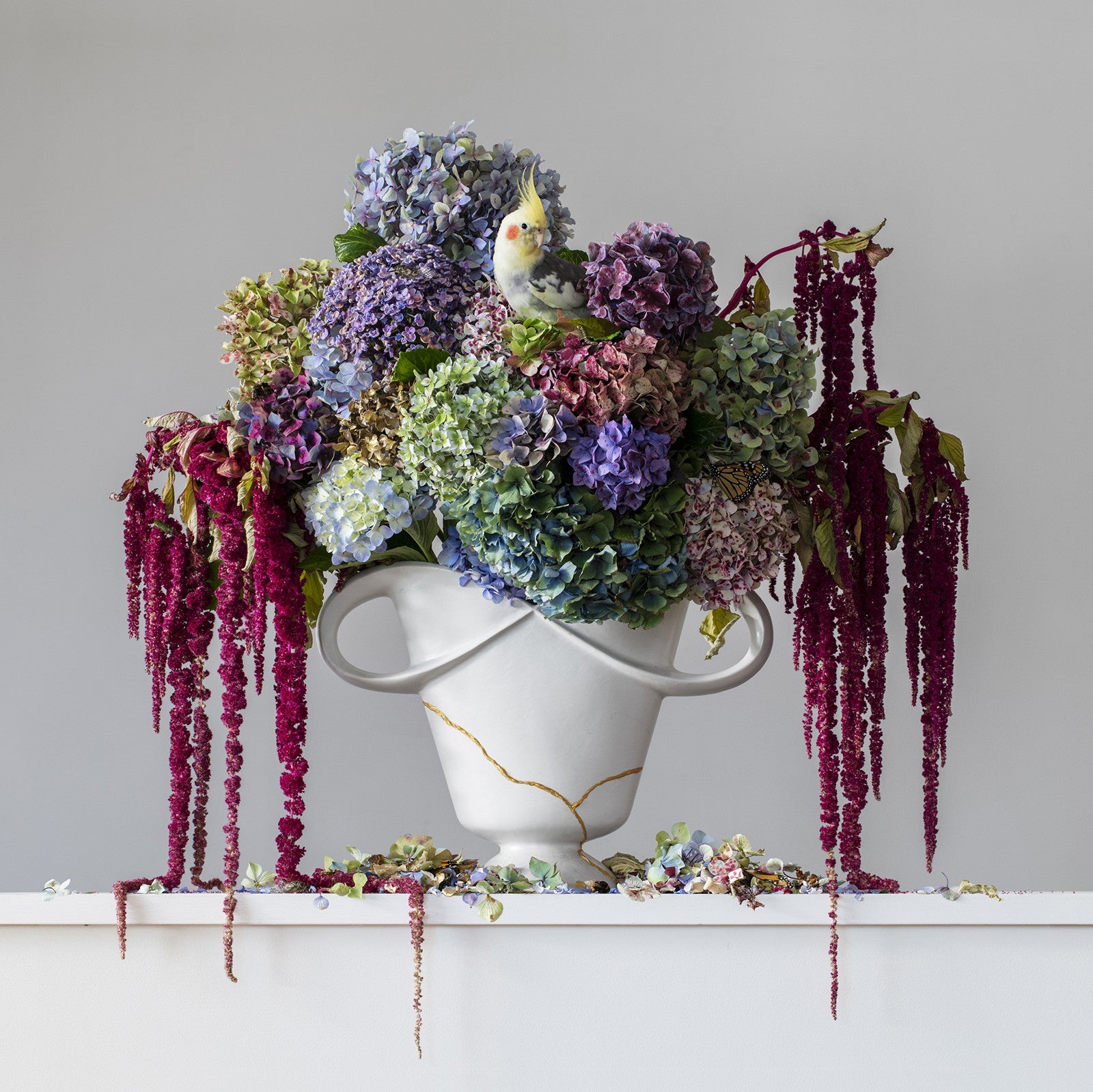 Hydrangeas & Love Lies Bleeding 1.12pm