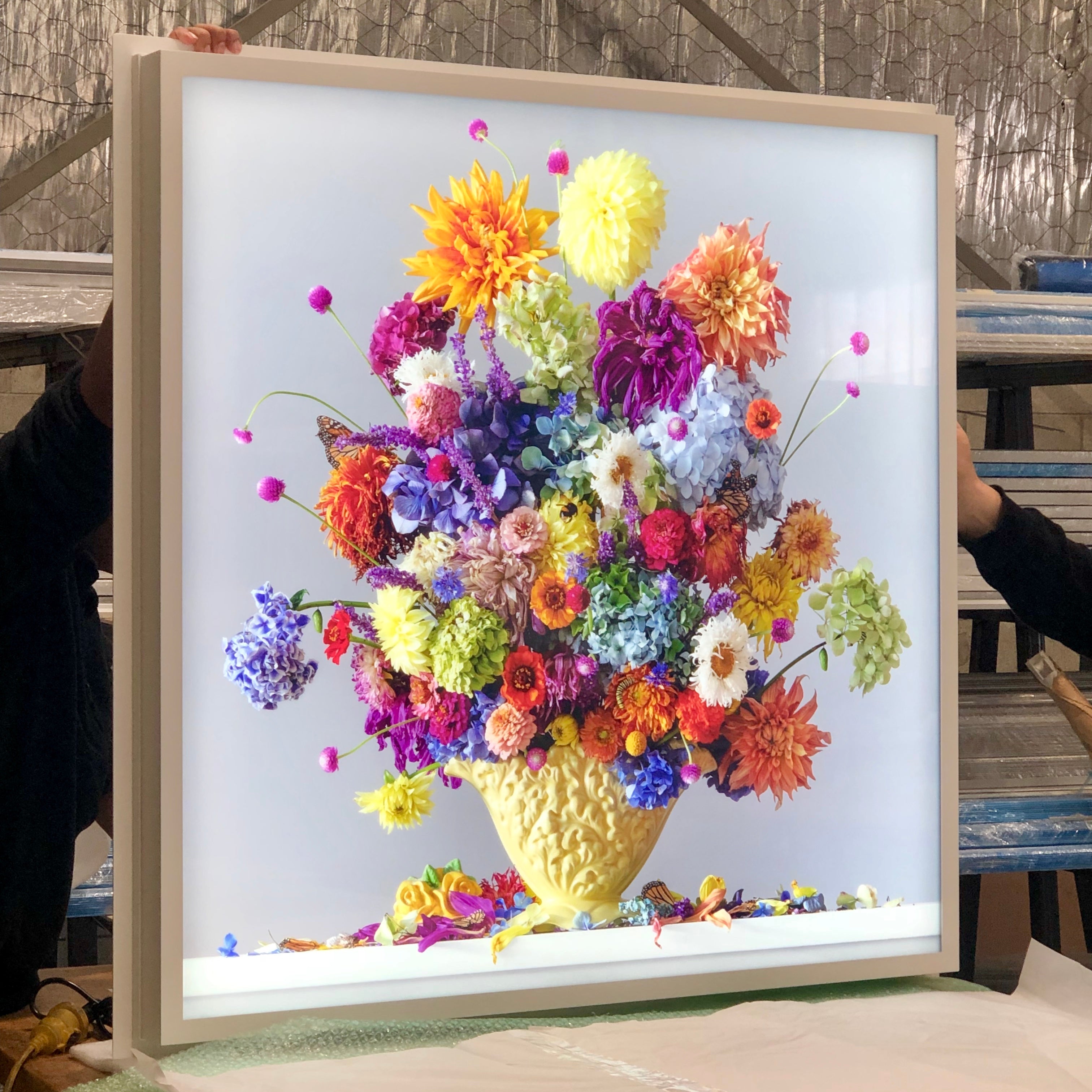 Lightbox - Last Twitch