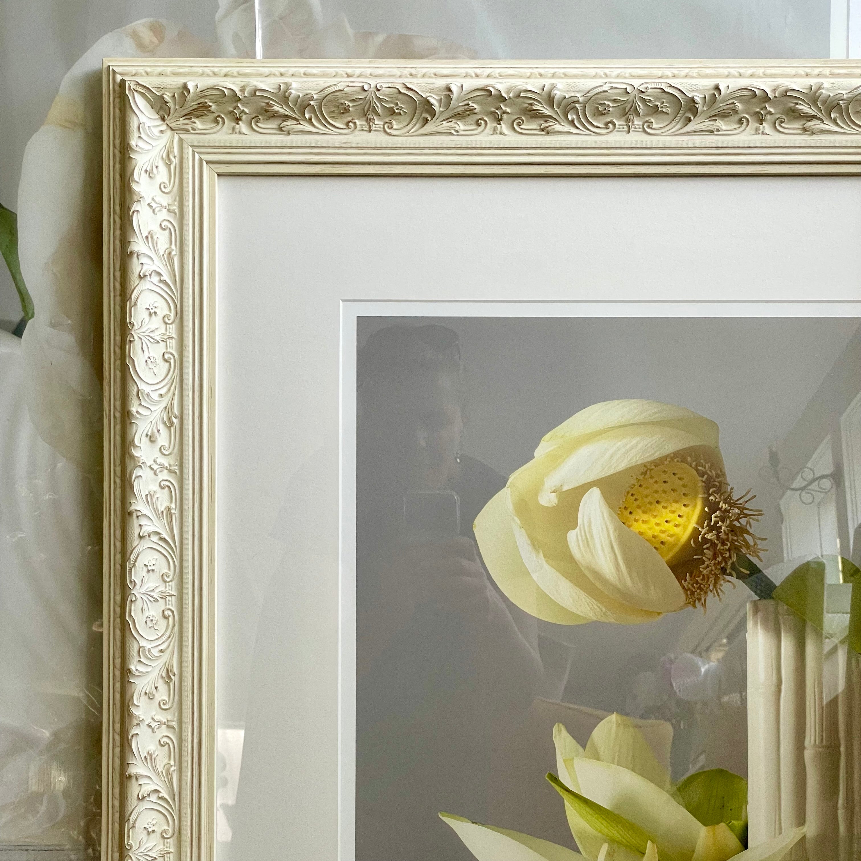 Lotus  (Framed)