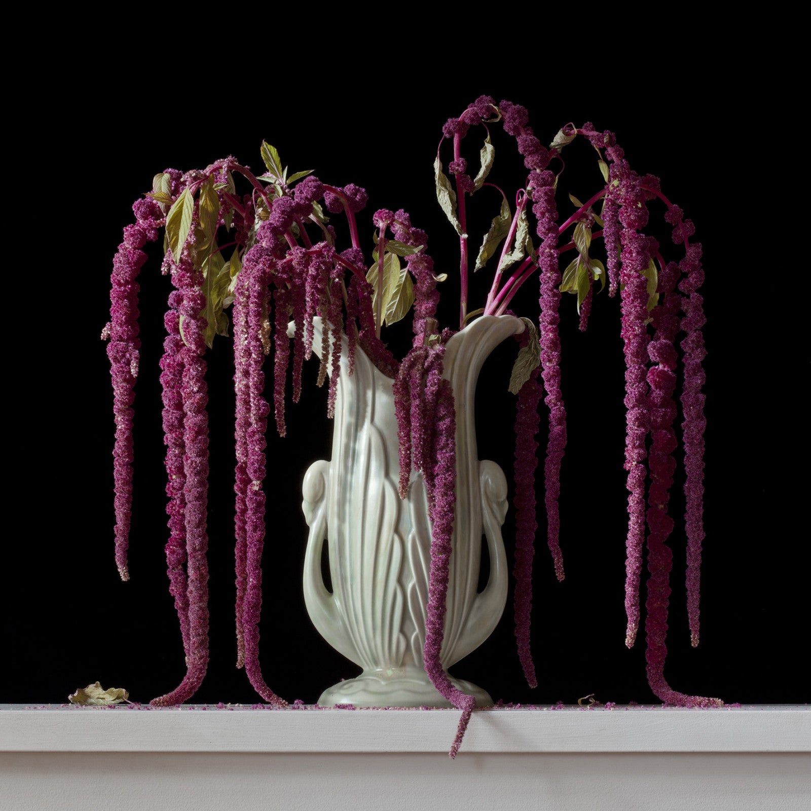 Love Lies Bleeding 9.00am