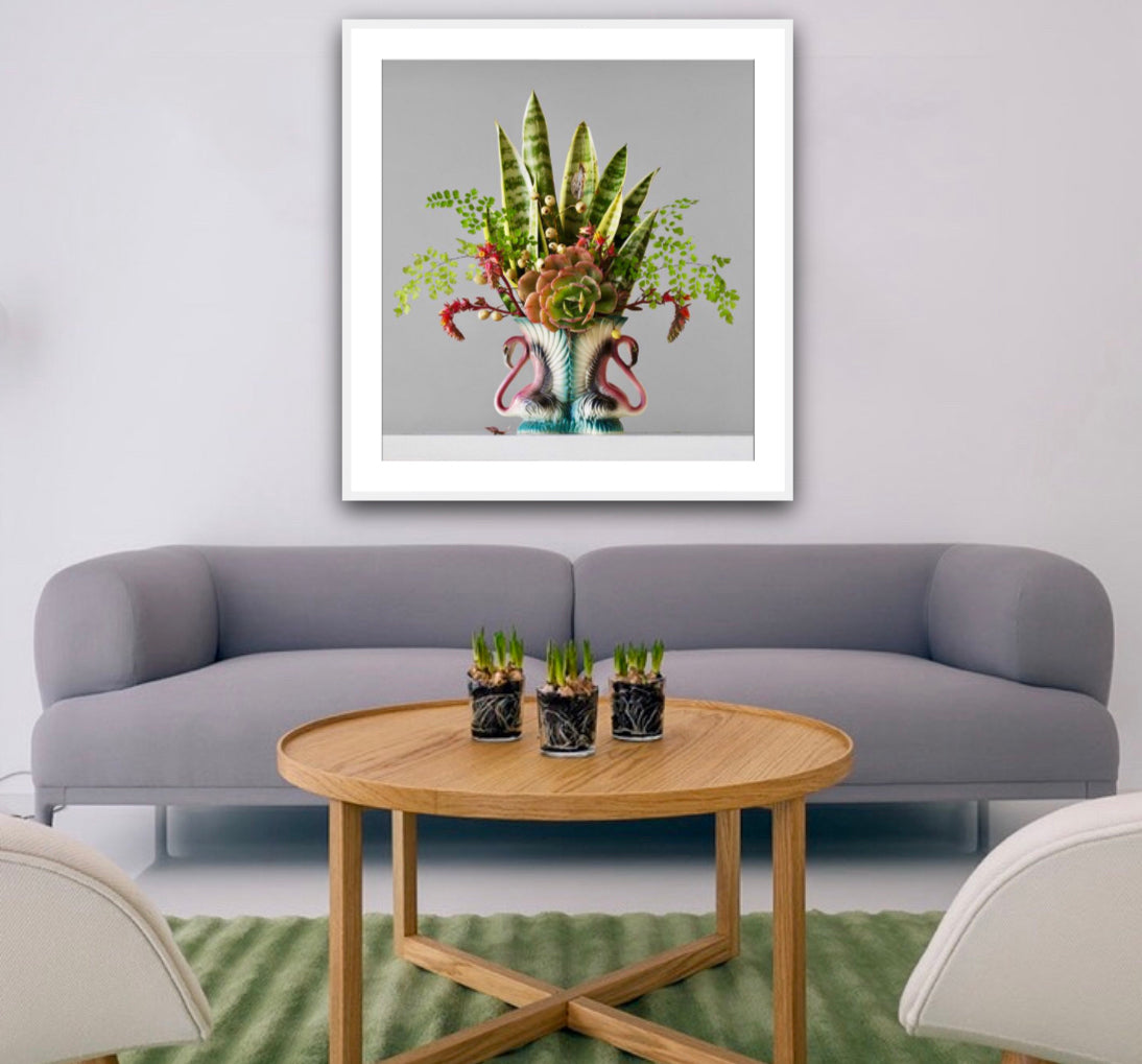 Mother In Law's Tongue, Succulent & Fern 4.22pm