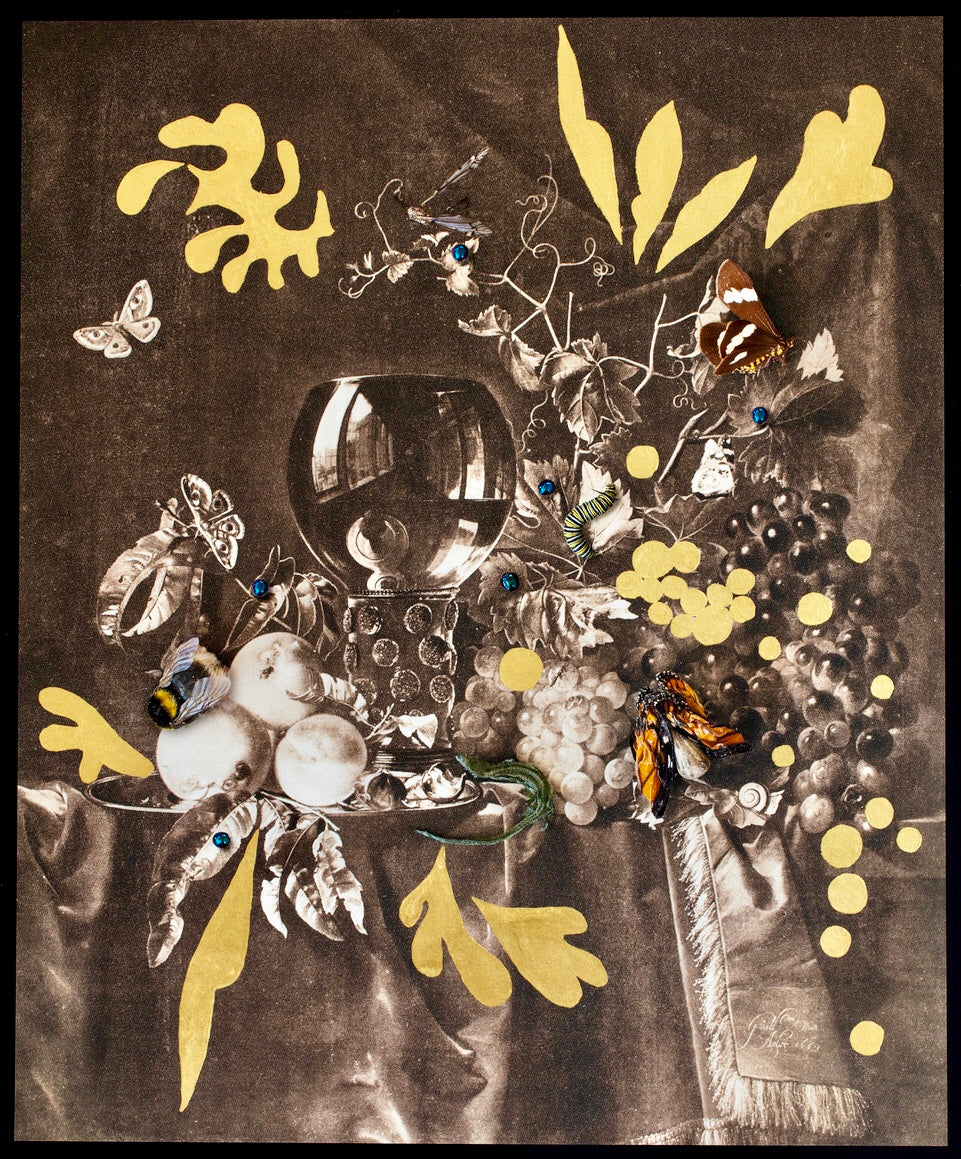 Ode to Van Aelst & Matisse