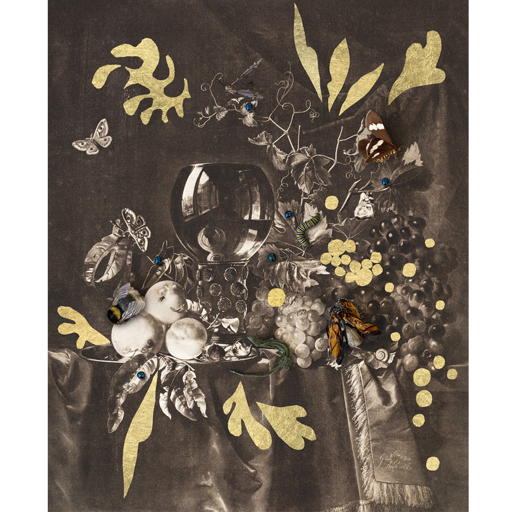 Ode to Van Aelst & Matisse II