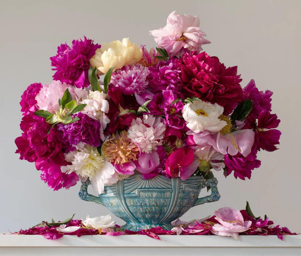 Peonies 8.32 am (Unframed)