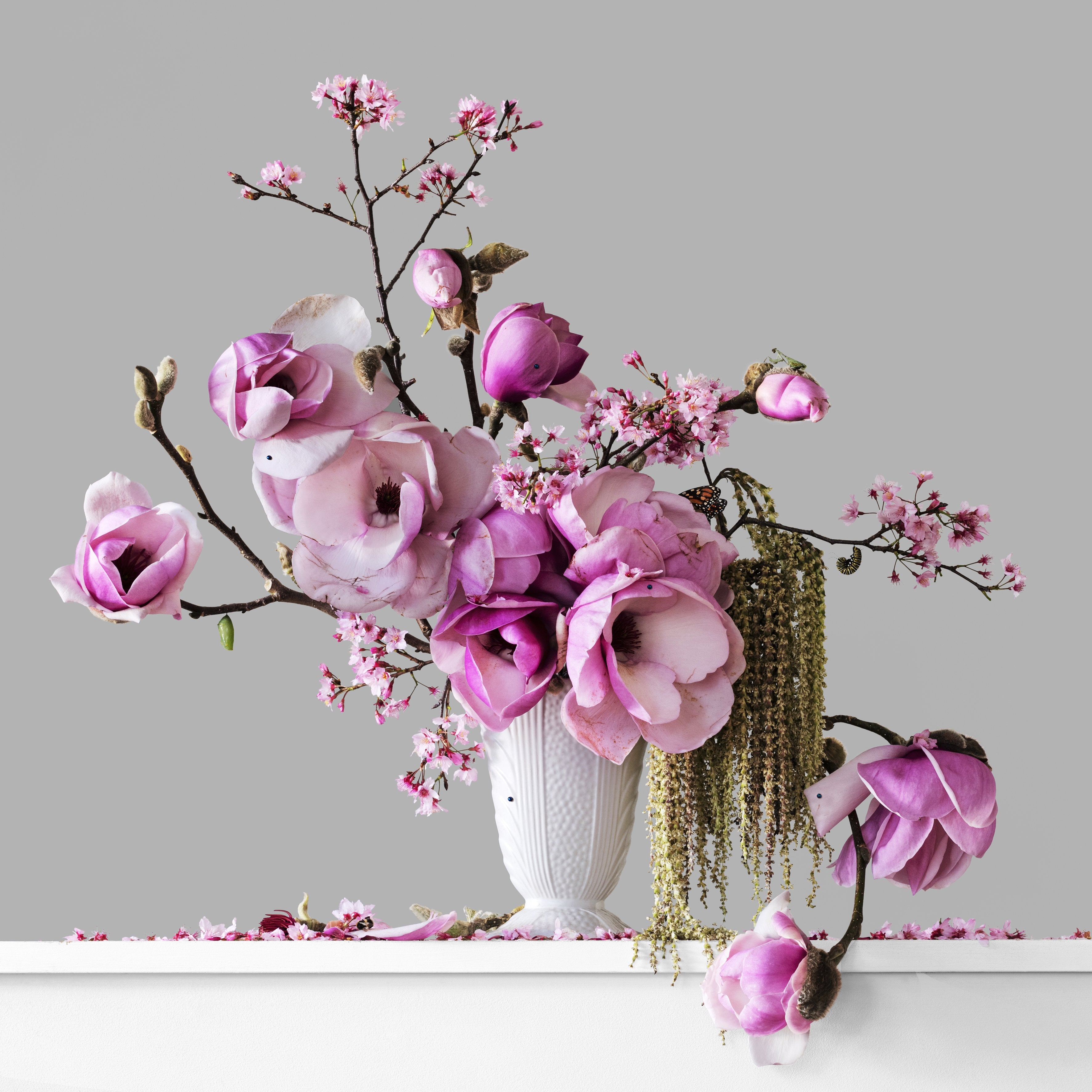 Pink Flush (Framed)