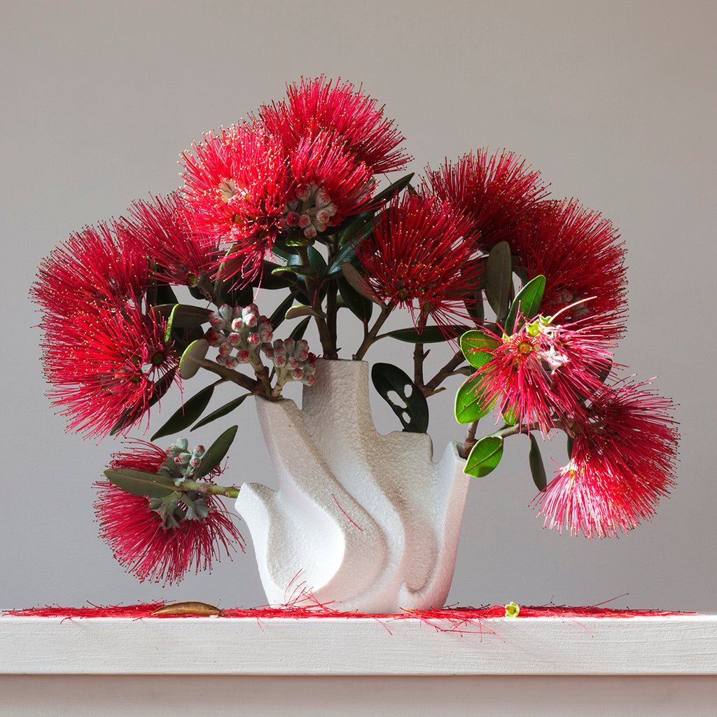 Pohutukawa 8.26 am (Framed)