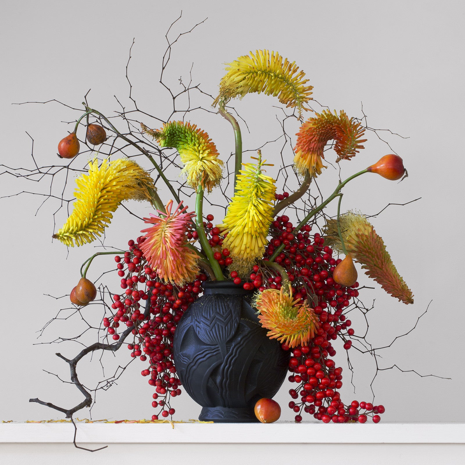 Red Hot Pokers Berries Rose Hips & Twigs 5.20pm