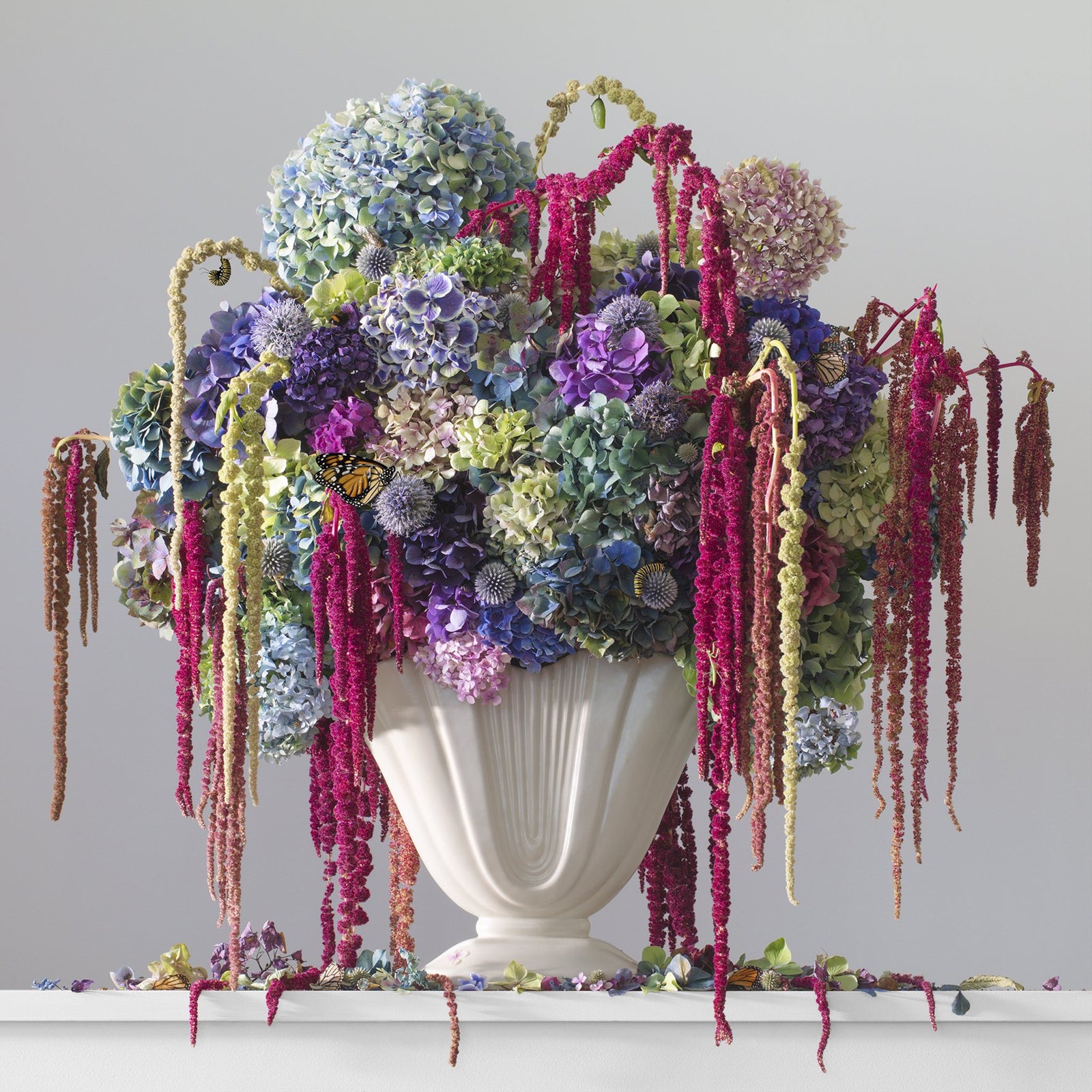 Rich Cadenza (Framed)