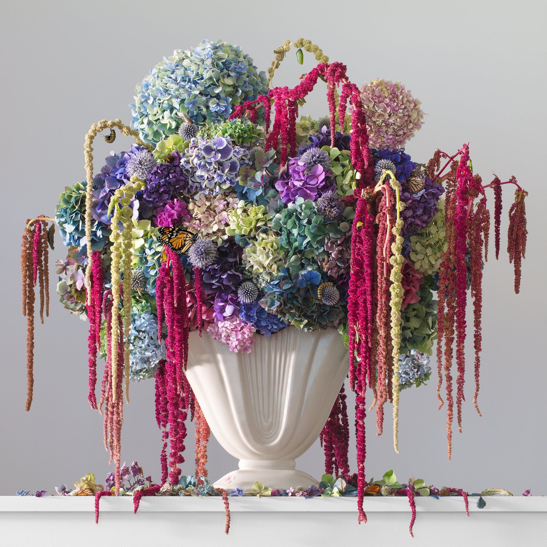 Rich Cadenza (canvas)