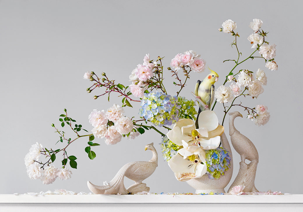 Roses, Hydrangea & Magnolia 4.34pm