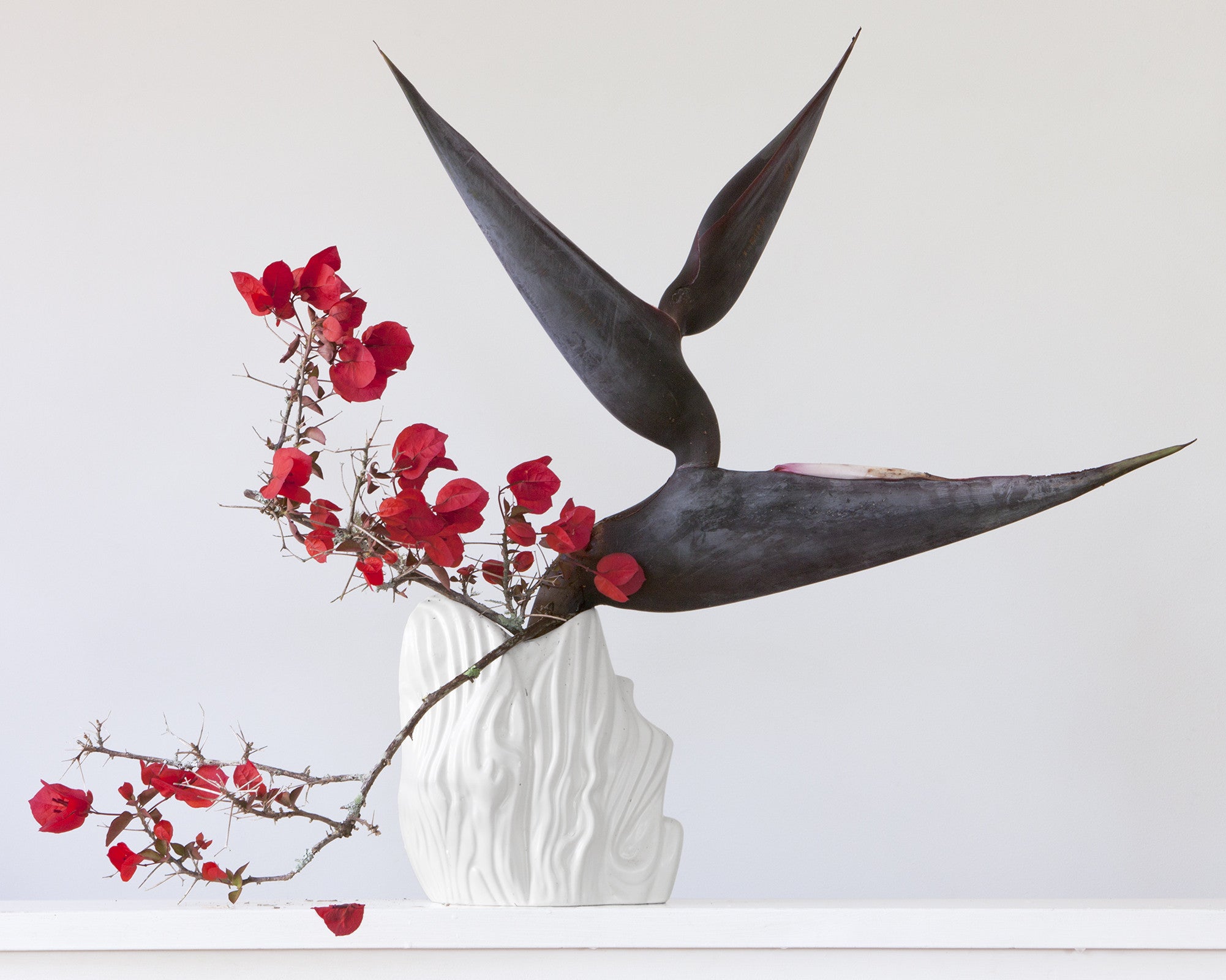 Strelitzia and Bougainvillia 2.36pm