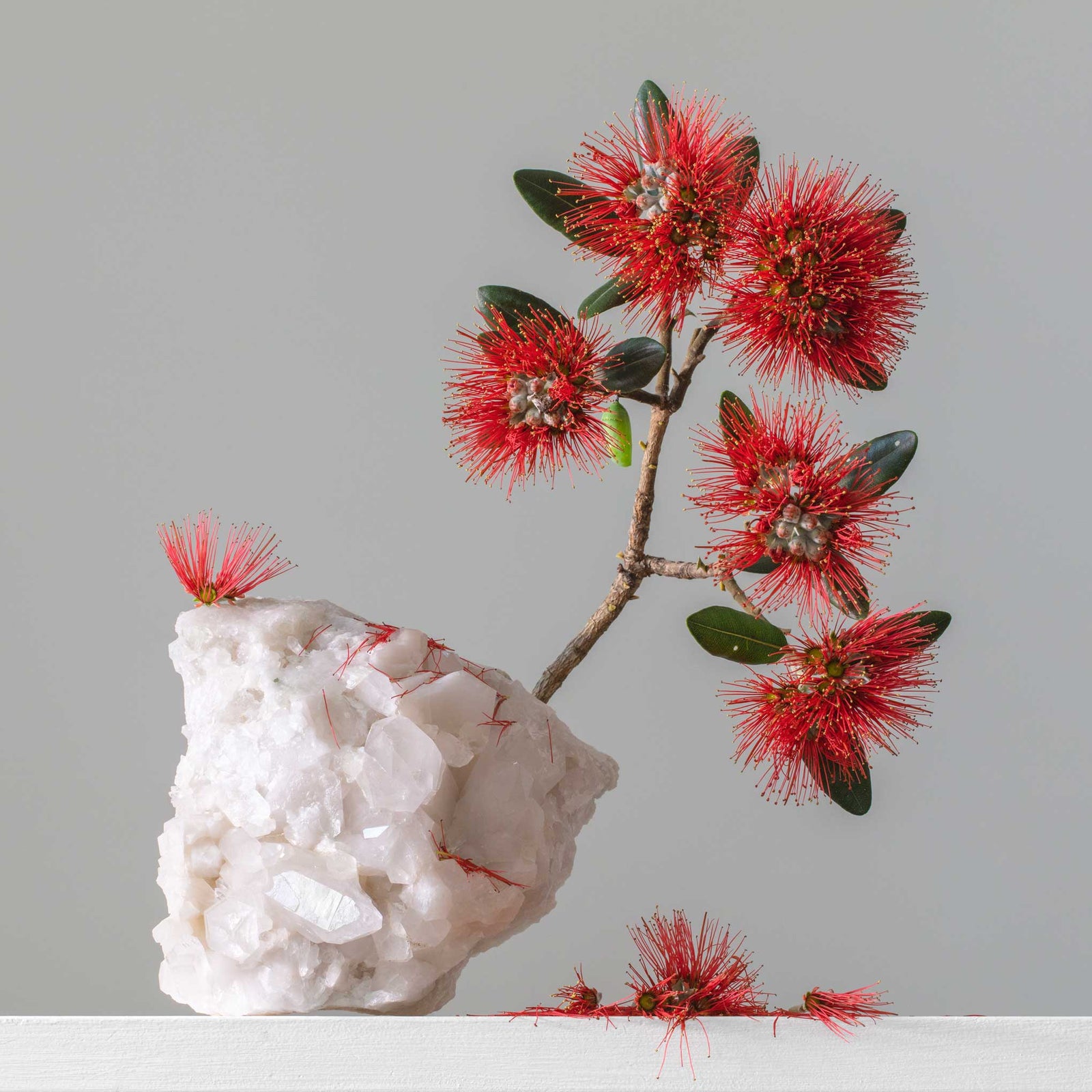 White Quartz (Brazil) Pohutukawa