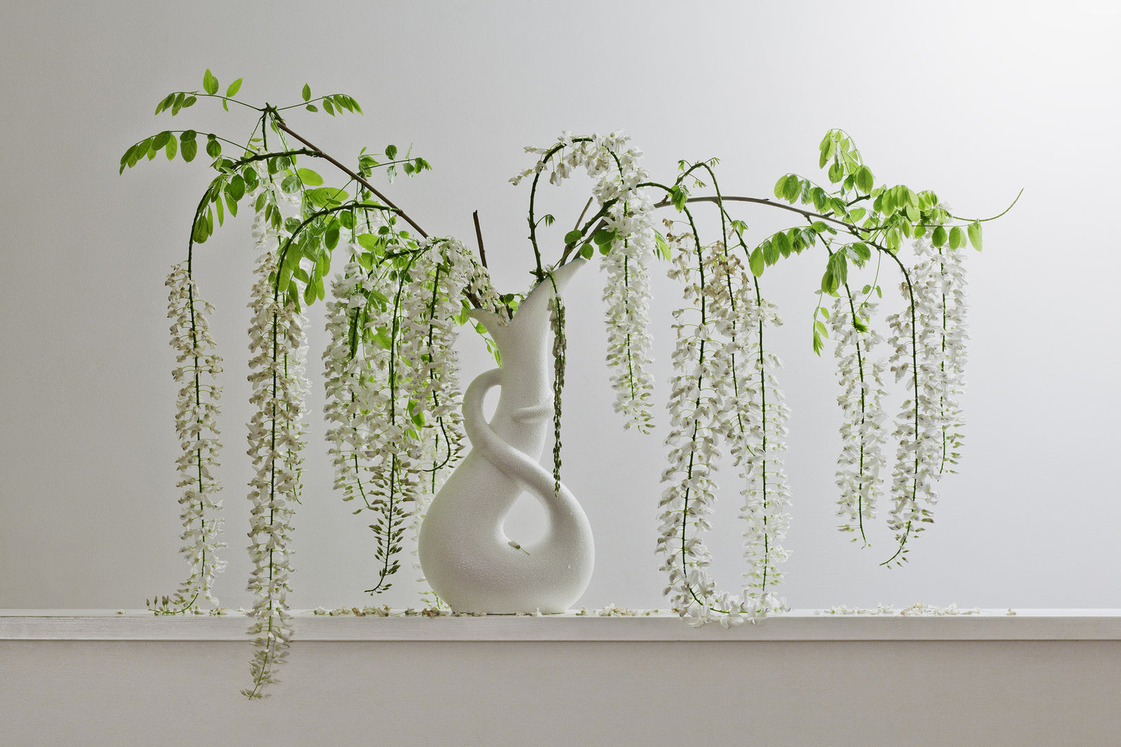 White Wisteria 8.44pm