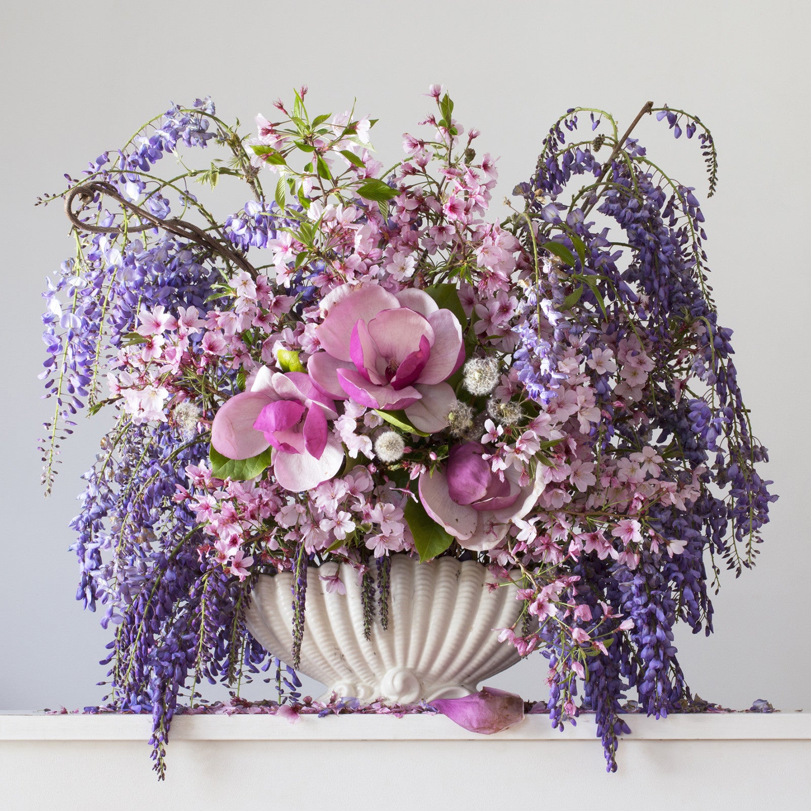 Wisteria, Blossom, Magnolia & Dandelion 3.20pm