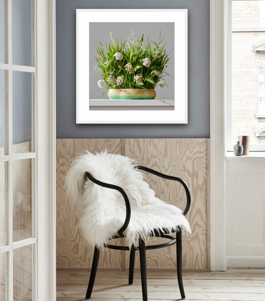 Grasses & Queen Ann's Lace 10.17am