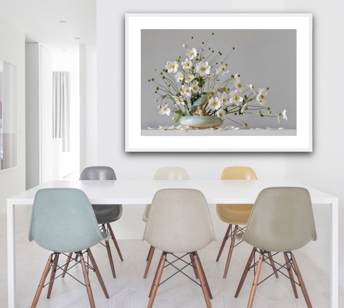 Japanese Anemones 3.55pm