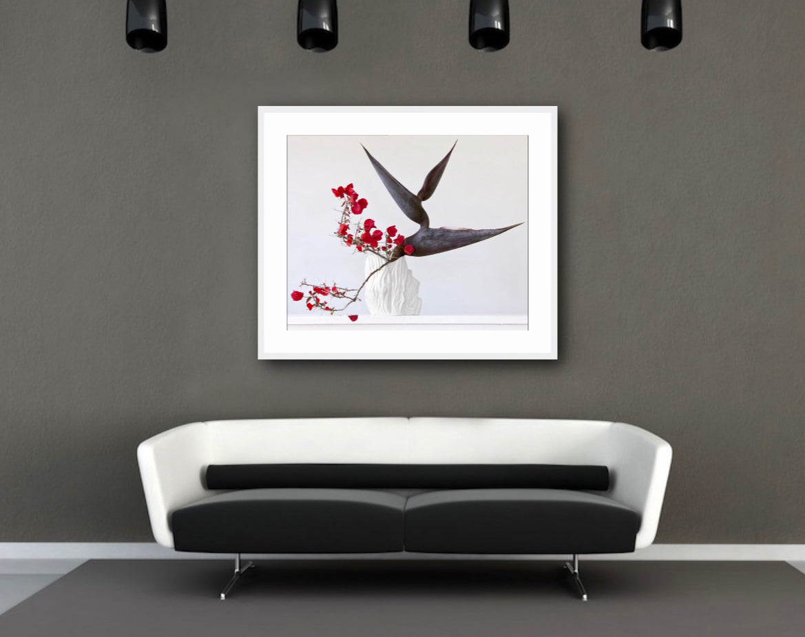 Strelitzia and Bougainvillia 2.36pm