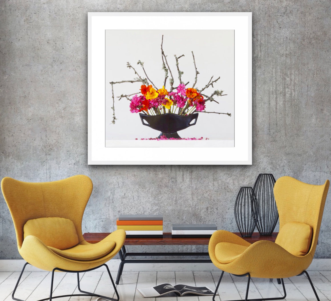 Geranium & Nasturtium 2.49pm